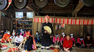 Viet Nam seeks UNESCO title for more intangible cultural heritages