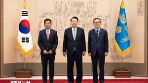 Vietnamese Ambassador presents credentials to South Korean President