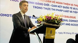 EU Ambassador appreciates Viet Nam&#39;s progress in gender equality