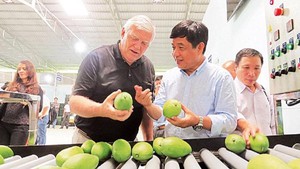 U.S. remains potential market for Vietnamese fruits
