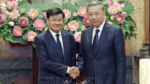 President To Lam meets with Lao Party General Secretary