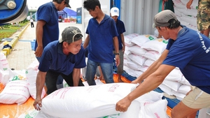 Gov’t provides rice relief to 14 storm-hit localities