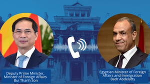 Deputy PM holds phone talks with Egyptian Foreign Minister