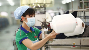 Viet Nam to launch raw materials center for textile and footwear in 2025