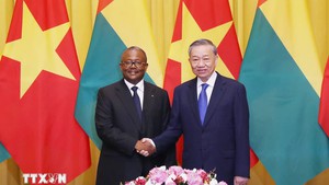 Guinea-Bissau to waive visa for Vietnamese diplomatic and official passport holders