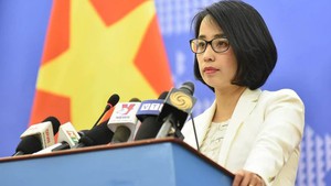 Viet Nam participates in multilateral mechanisms in line with its foreign policy, conditions