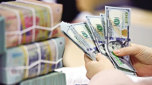 Remittances to Ho Chi Minh City reaches US$9.6 bln in 2024