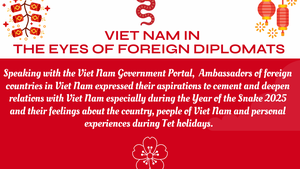 INFOGRAPHICS: Viet Nam in the eyes of foreign diplomats