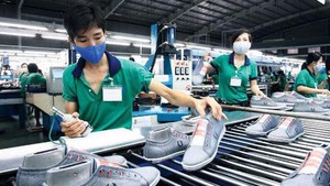 Footwear and leather export turnover surpasses US$27 billion in 2024