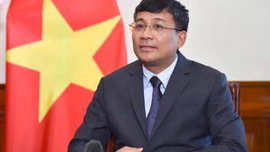 Viet Nam should seize opportunities, overcome challenges to enter new era: official