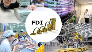 FDI disbursement reaches record high in 2024