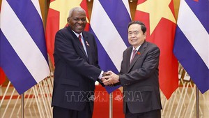 Top Vietnamese, Cuban legislators hold talks in Ha Noi