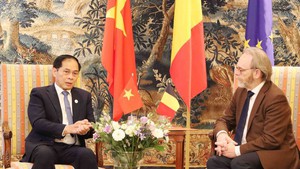 Viet Nam urges Belgium to ratify EVIPA this year