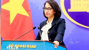 Viet Nam welcomes ceasefire agreement between Israel, Hamas: Spokesperson