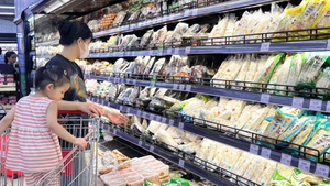 Viet Nam to raise monthly personal income tax deductions from 2026