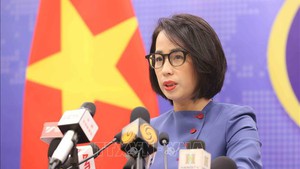 Viet Nam formulates int’l cooperative mechanism to protect citizens in Cambodia