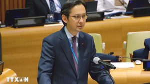 Viet Nam calls for decisive actions towards total elimination of nuclear weapons