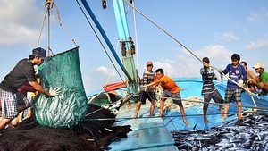 Viet Nam launches month-long campaign against IUU fishing