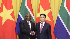 Vietnamese President holds talks with South African counterpart