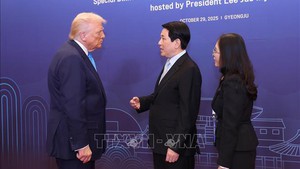 State President Luong Cuong meets U.S. President Donald Trump in South Korea