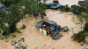 Typhoon Bualoi claims 51 lives, damages estimated at US$600 million
