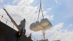 Viet Nam becomes first nation signing MoU on rice trade with Singapore