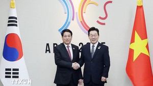 Vietnamese, South Korean Presidents hold talks in Gyeongju