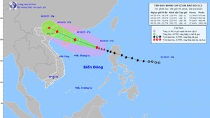 Viet Nam braces for Typhoon Matmo