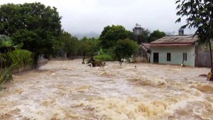 Landslides kill three in Viet Nam’s northern region