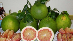 Viet Nam’s pomelos official available in Australia