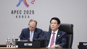 APEC needs to boost sustainable development, digital transformation