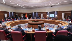 Viet Nam, Algeria upgrade bilateral ties to Strategic Partnership
