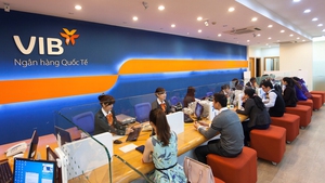 Major policies take effect in November 2025