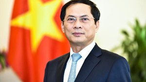 Deputy PM Bui Thanh Son to co-chair 13th Viet Nam-Cambodia Cooperation and Development Meeting