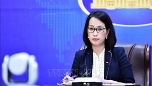Viet Nam responds to recent tensions in Taiwan Strait