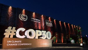COP30: Breakthrough opportunity for Viet Nam in clean energy and climate finance