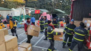 Gov&#39;t decrees Viet Nam&#39;s overseas aid