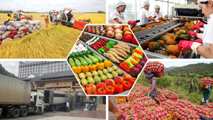 Agro-forestry-fishery export turnover may hit US$70 billion in 2025