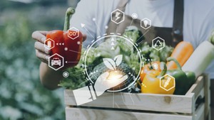 Viet Nam emerges as a major global food supplier