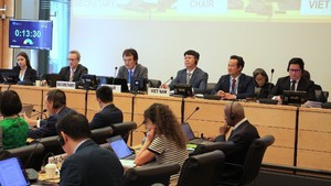 Viet Nam approves plan to Implement UN Human Rights Committee recommendations