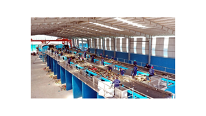 GEF helps Viet Nam’s enterprises develop clean technology solutions