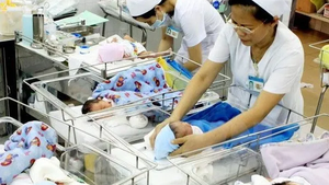 Fertility rate in children per woman in Viet Nam slightly increases