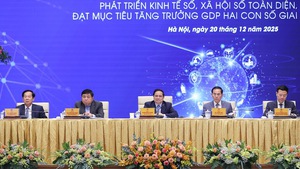 Prime Minister calls for creating digital industrial complexes