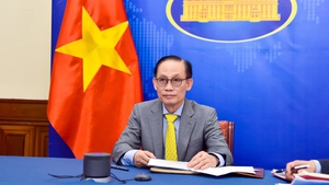 Vietnamese, French FMs hold phone talks