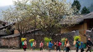 Gov't to allocate US$16 billion for socio-economic development in ethnic minority areas over next five years