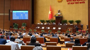 Law on the State of Emergency adopted