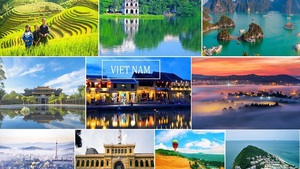 Vogue ranks Viet Nam among standout destinations for 2026
