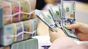 Remittance inflows into HCM City to set new record this year