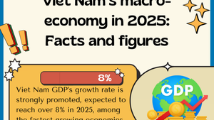 Infographics: Viet Nam’s macro-economy in 2025: Facts and figures
