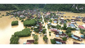 ADB announces emergency grant worth US$2 million for flood relief in Viet Nam